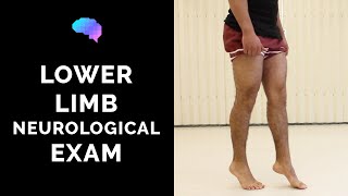 Lower Limb Neurological Examination  OSCE guide old version  UKMLA  CPSA [upl. by Eibrab]