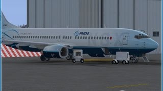 PMDG 737 NGX [upl. by Ellekim]