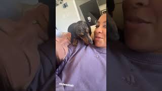 Candace Parker cracking weiner jokes with her wife [upl. by Artiek]