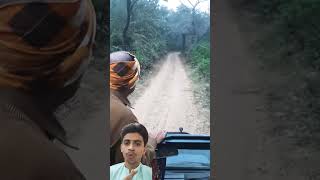 Tiger attack on caravan wildlife tiger safari forest youtubeshorts [upl. by Shane]