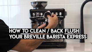 How To Clean Backflush Your Breville Barista Express [upl. by Ruffina]