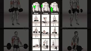 9 BEST Arms Workout with Dumbbells  Biceps and Triceps  🦾🦾 [upl. by Abisia]