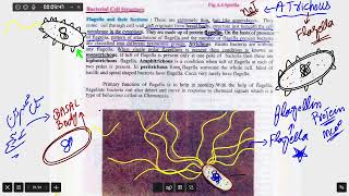 Flagella and Types of bacteria Base on flagella [upl. by Nayr]