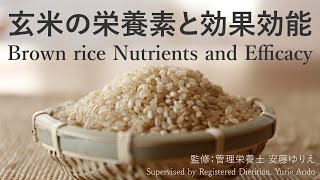 玄米の栄養素と効果効能 Brown rice Nutrients and Efficacy [upl. by Havelock941]