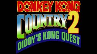 Forest Interlude  Donkey Kong Country 2 SNES Music Extended [upl. by Anitselec]