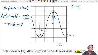 72a Ex2 MJ20 P12 Q23 CRO Readings  AS Waves  Cambridge A Level 9702 Physics [upl. by Llecrad]