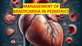 MANAGEMENT OF BRADYCARDIA IN PEDIATRICS [upl. by Ileane]