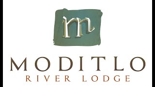 Why visit  Moditlo River Lodge [upl. by Potash99]