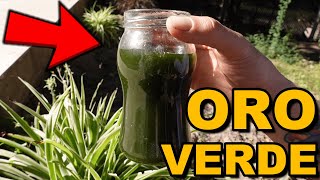 💥Este POTENTE ABONO CASERO hará CRECER tus PLANTAS 💥 FERTILIZANTE ORGÁNICO  RÁPIDO Y GRATIS ❗❗ [upl. by Oiracam]