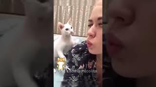 Los animales más graciosos 😂🦥😹🐈🐕 funny gatoschistosos catfunny gatosgracioso catvideos [upl. by Yliram]