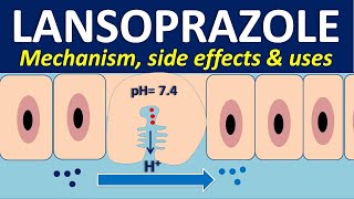 How to use junior LanzolLansoprazole tablets Medical supportsandeep Kumar mahato [upl. by Anihcak]