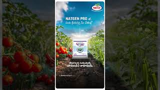 Protect Your Crops with NATGEN PRO Advanced CTPR Granules [upl. by Sher]