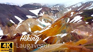 Hiking Laugavegur in Iceland 4K IS THIS THE BEST HIKE IN THE WORLD [upl. by Coppock]