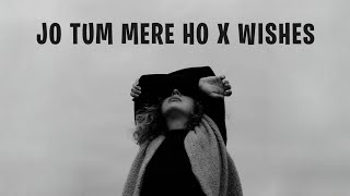 Jo Tum Mere Ho X Wishes Remix After Hourmusic  Jo Tum Mere Ho X Wishes Full Song [upl. by Kcirdneked94]