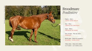 Lot 6  Broodmare Junky Jane des M by Urano de Cartigny [upl. by Pride]