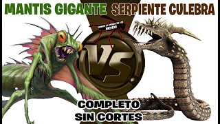 MANTIS GIGANTE VS SERPIENTE CULEBRA  COMPLETO SIN CORTES [upl. by Atsirtal]