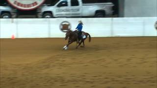 Rochel Furniss  2011 Congress Reining Champion [upl. by Tnek]