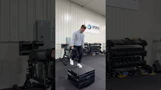 Alternating DB Suitcase Step Ups [upl. by Eugatnom587]