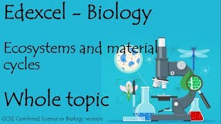 The whole of ECOSYSTEMS Edexcel 91 GCSE Biology or combined science revision paper 2 [upl. by Iaht]