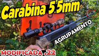 Agrupamento Carabina de pressão 55mm modificada pra munição 22 [upl. by Dnaltruoc933]