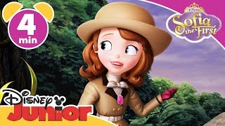 Sofia the First  Royal Vacation  Disney Junior UK [upl. by Keffer]