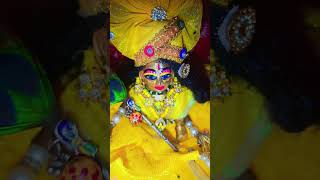 kanha laddu kanhaya shyam kanhai kanhai kanhiya kanhiya kanhya [upl. by Palermo221]