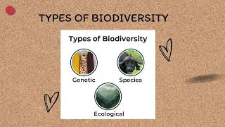 Science Technology amp Society BIODIVERSITY part 1 [upl. by Delaryd]