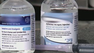 Pittsburgh doctors see increase in people with side effects from xylazine [upl. by Brinna]