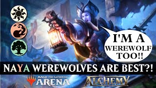 ☀️🔥🌳 Naya Werewolves  MTG Arena Alchemy  Mythic Ranked  Innistrad Crimson Vow [upl. by Marilla166]