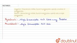 Assertion  Polycistronic mRNA found in prokaryotes specify a number of polypeptides Reason [upl. by Aitekram659]