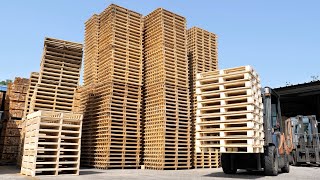 The process of massproducing wooden pallets from giant trees Pallet factory in Korea [upl. by Wightman]