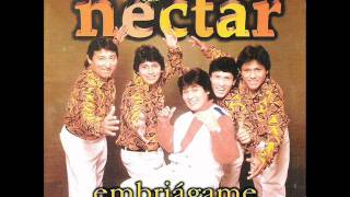 Grupo Nectar  Embriagame [upl. by Ahsiuqat]