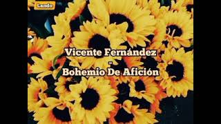 Vicente Fernández Bohemio de afición Instrumental [upl. by Jeuz518]