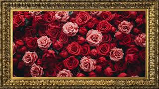 Framed TV Artwork  Valentine Roses [upl. by Osborn844]