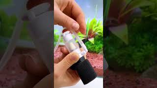 Water Pet Family Mini Filter trending fish fishvideo fishtank aquarius aquariumfish aqurium [upl. by Wennerholn]