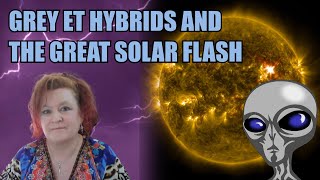 Grey ET Hybrids and the Great Solar Flash [upl. by Esyahc515]