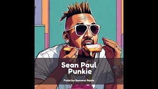 Sean Paul  Punkie Federico Romanzi Remix [upl. by Demodena]