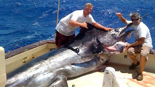 Amazing Fastest Giant Bluefin Tuna and Swordfish Fishing skill  Most Satisfying Sea Fishing Videos [upl. by Adel41]