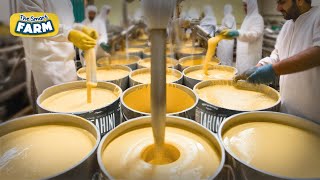 Tahini Sauce Factory Making Process From Sesame Seeds to Tahini Sesame Oil Halva  How its made [upl. by Thurber]