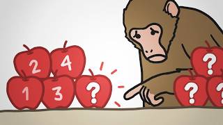 Why Monkeys Can Only Count To Four [upl. by Mauralia247]