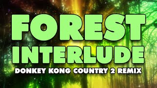 Donkey Kong Country 2  Forest Interlude Remix [upl. by Ellary172]