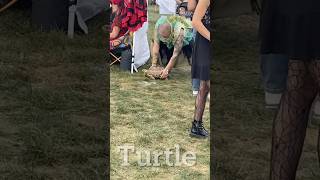 This Year’s Fairy Festival viralvideo funny fairy festival mystical gnomes turtle music [upl. by Lagas]