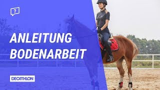 F172 Junge Pferde am Außenzügel reiten lernen Reiterhilfen Anlehnung Galopp richtig reiten lernen [upl. by Ahseei]