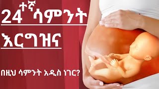 የእርግዝና 24ኛ ሳምንት 24th  week of pregnancy [upl. by Anyala]