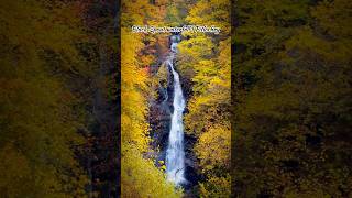 Black Spout waterfall  Pitlochry BlackSpoutwaterfall autumn waterfalls pitlochry scotland [upl. by Beatriz647]