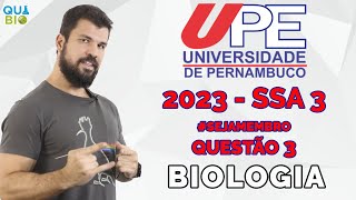 UPE 2023  SSA 3  Sobre o tema em destaque nos quadrinhos assinale a alternativa CORRETA [upl. by Eila]