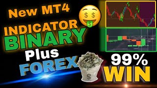 Quotex AND Forex MT4 indicator accuracy 99 sure shot  Binary Plus FOREX earning strategy [upl. by Aynod486]