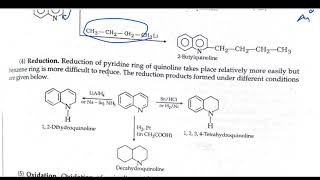 Quinoline and isoquinoline synthesis and the chemical reaction [upl. by Mishaan847]