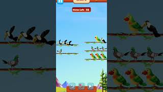 Bird shot color puzzle Trailer birds gamingtrendingsonglove birdsortcolor viral [upl. by Ahseyi]