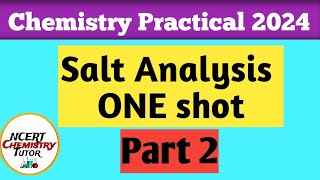 ONE SHOT2 Salt Analysis Practical ChemistryClass 12  Practical exam 2024Salt analysis [upl. by Vidovic396]